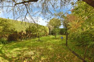 Photo 19- click for photo gallery